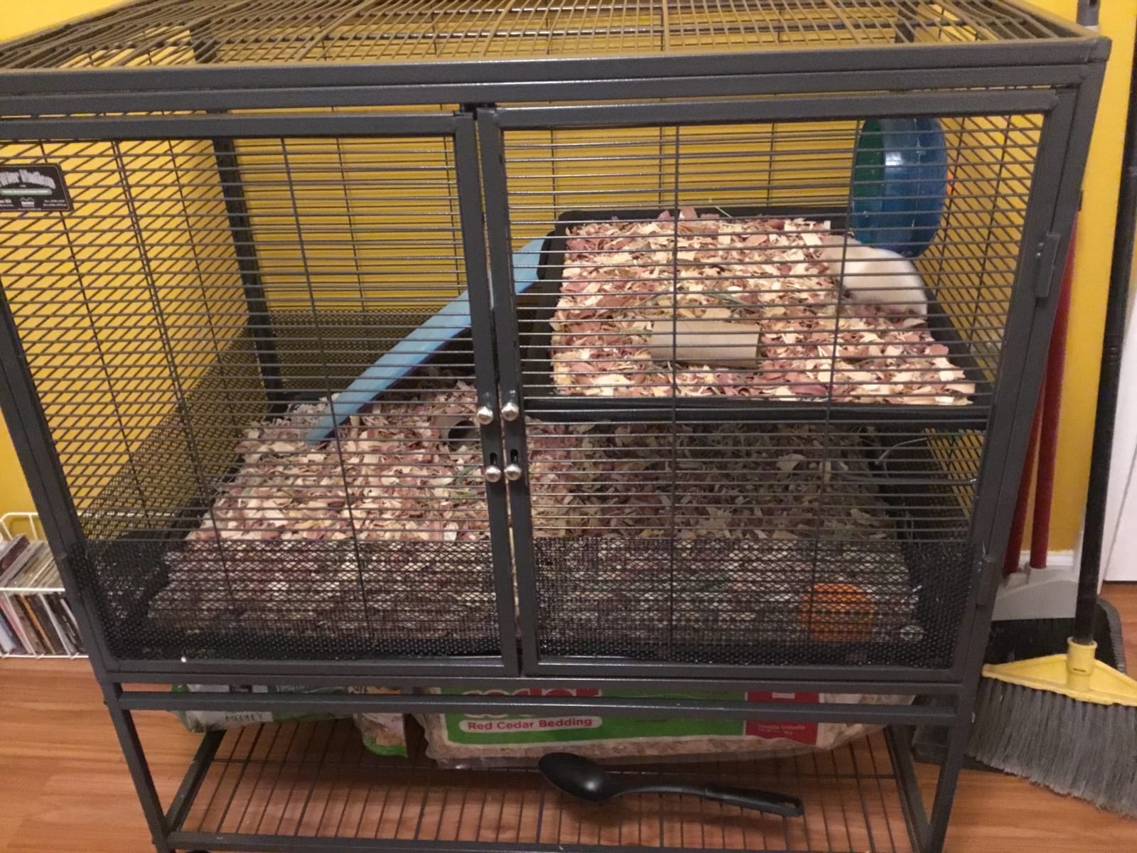 Critter Nation by MidWest Single Unit Small Animal Cage | Habitat for Rats, Chinchillas, Ferrets & Sugar Gliders, Tool-Free Assembly, Full-Width Doors, Shelf & Removable Base Pan customer photo 1