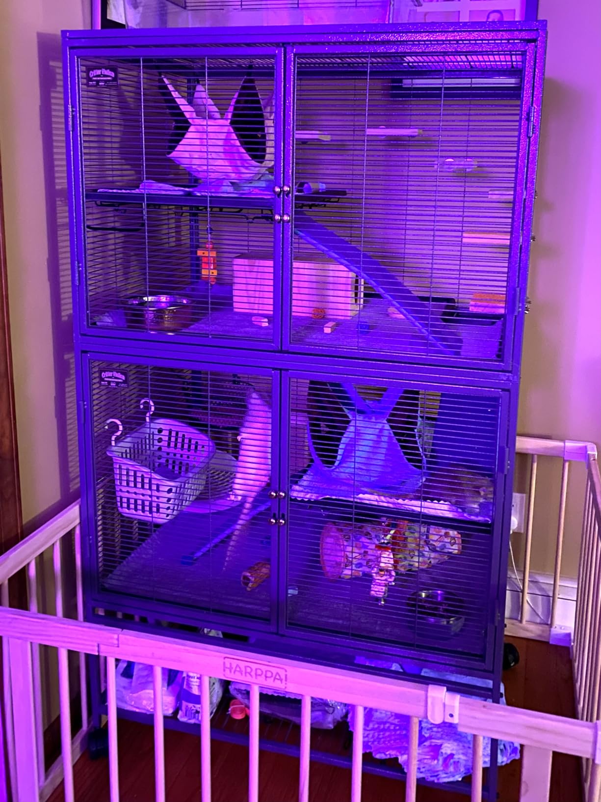 Critter Nation by MidWest Single Unit Small Animal Cage | Habitat for Rats, Chinchillas, Ferrets & Sugar Gliders, Tool-Free Assembly, Full-Width Doors, Shelf & Removable Base Pan customer photo 2