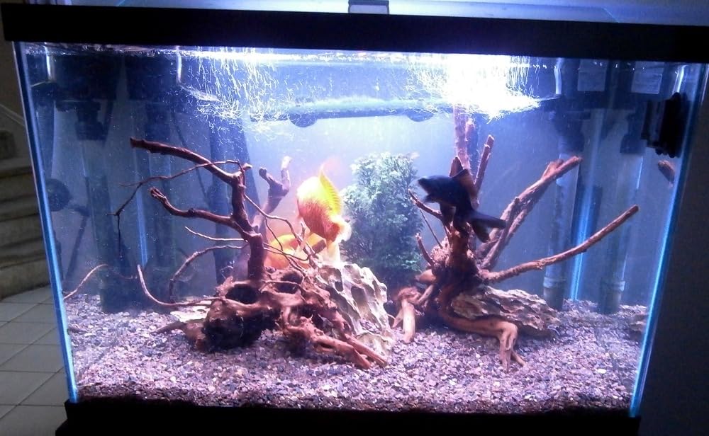 Seachem Flourite Dark, 7 kg / 15.4 lbs customer photo 2