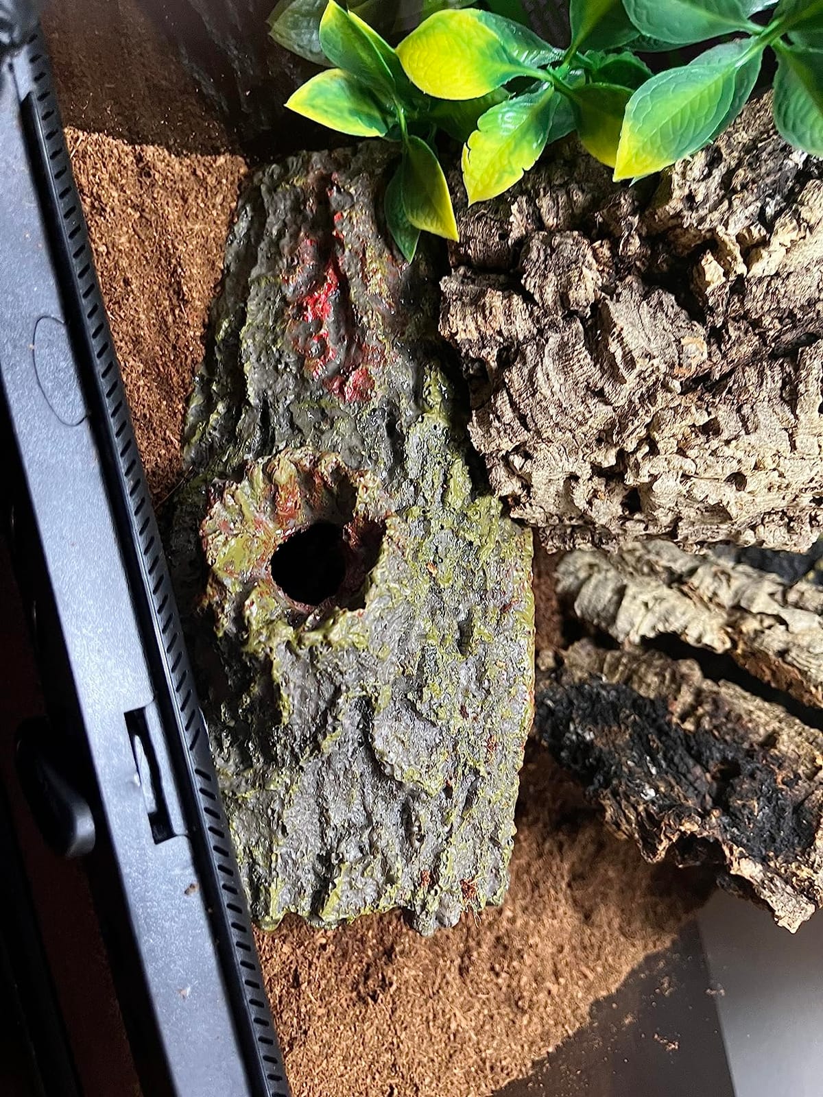 Zilla Pet Reptile Bark Bends Terrarium Decor, Medium, Brown customer photo 1