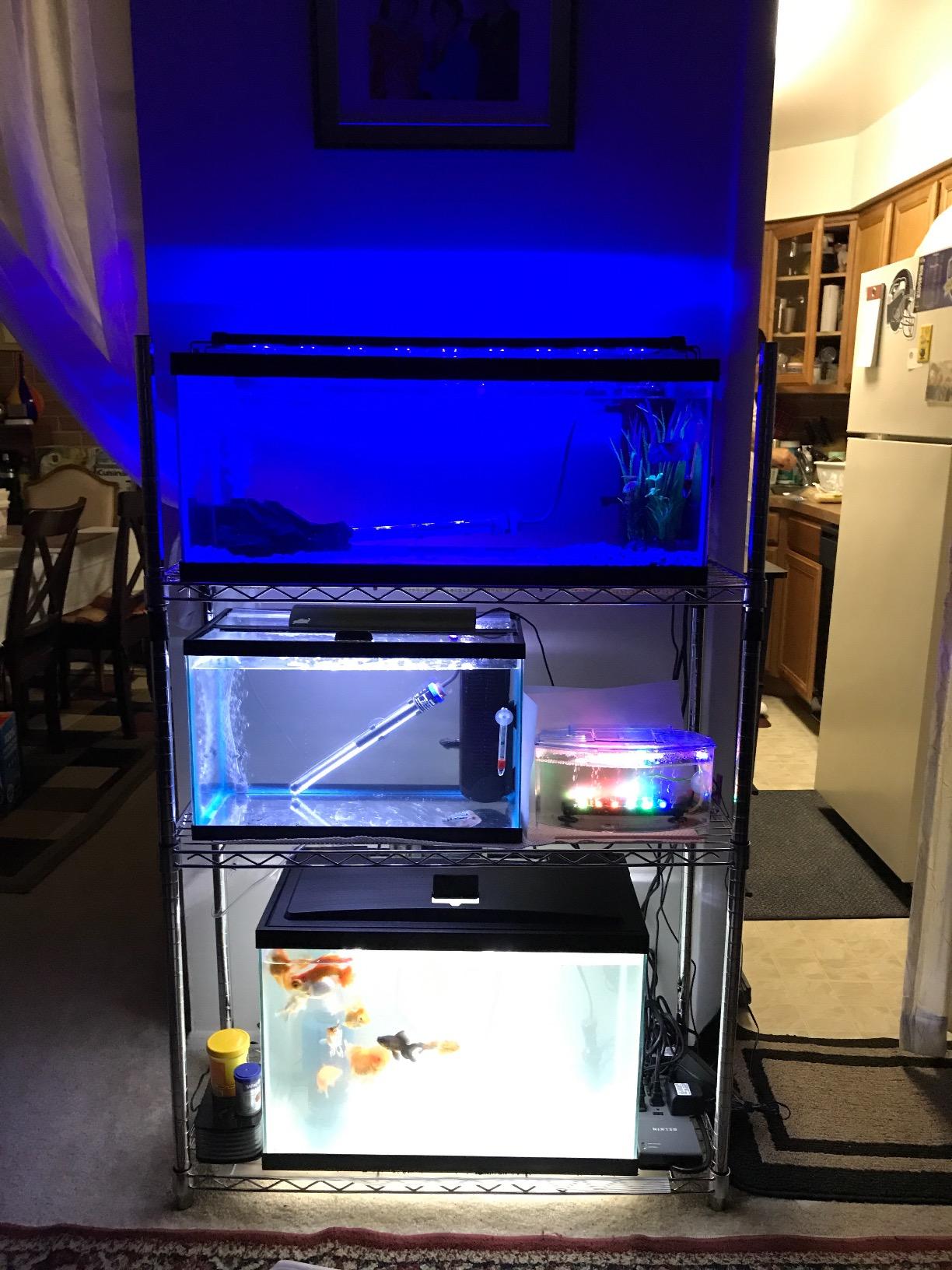 Fluval U3 Underwater Filter - Designed for Freshwater and Saltwater Aquariums, Also Ideal for Terrariums and Turtle Tanks customer photo 1