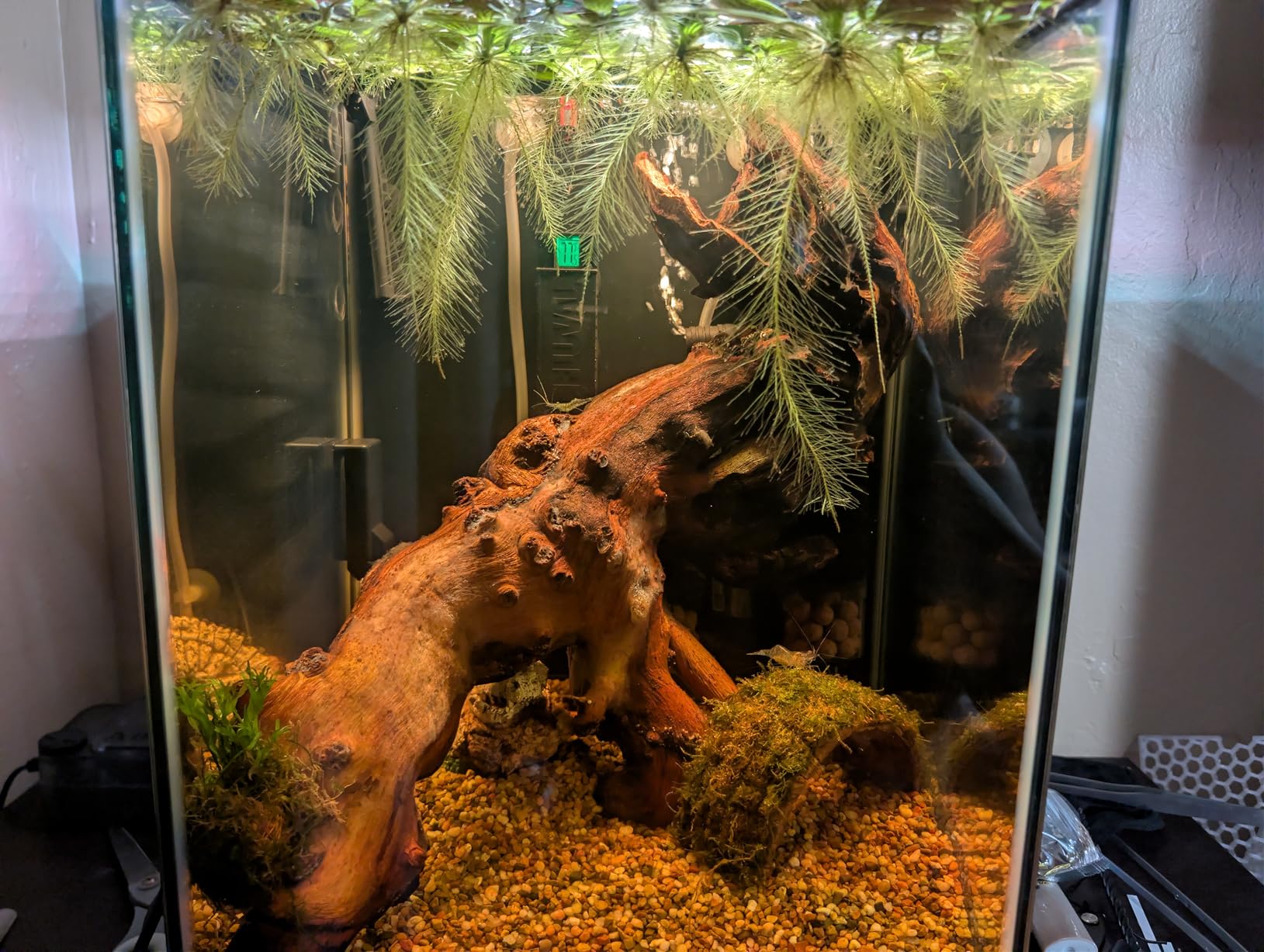 Fluval E 100 Watt Electronic Heater customer photo 1