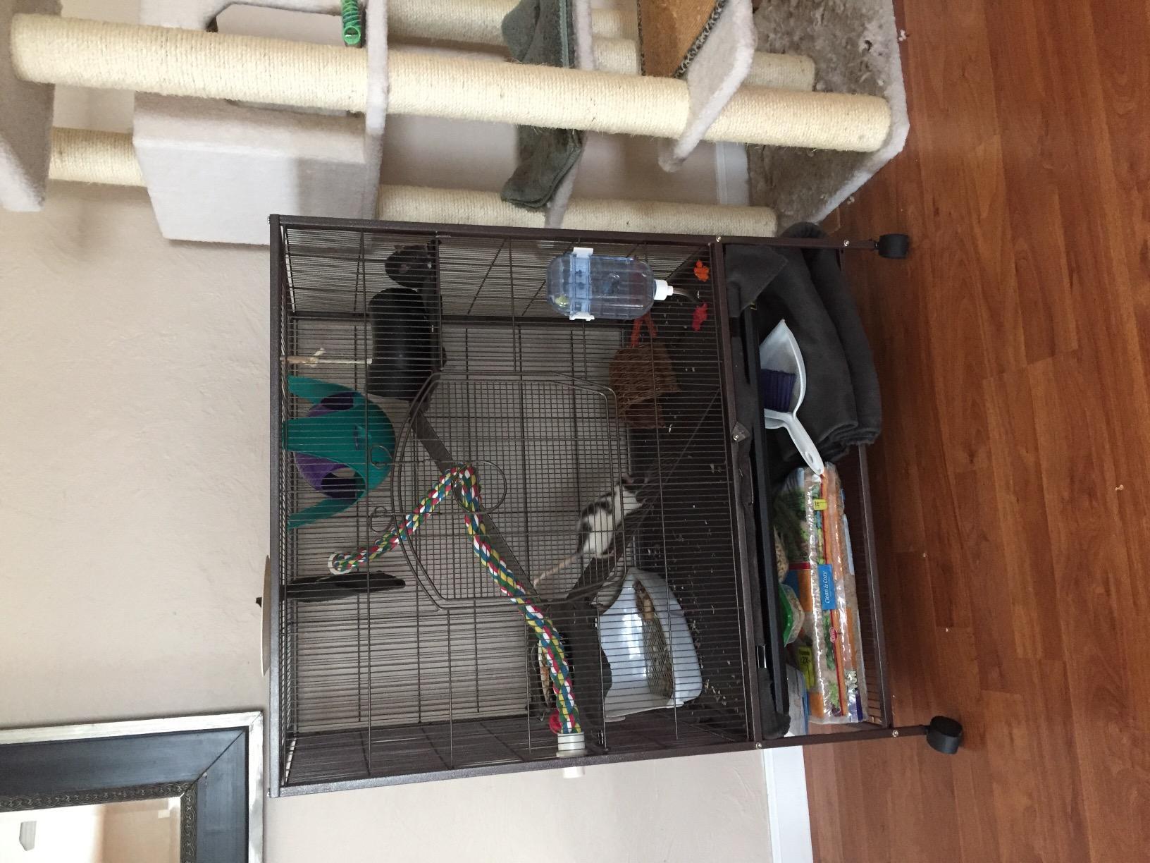 Prevue Hendryx 495 Rolling Small Animal Cage - Ideal for Rats, Chinchillas, Ferrets, Guinea Pigs, Chew-Proof Critter House, Easy to Clean - Earthtone Dusted Rose Hammertone Finish customer photo 2