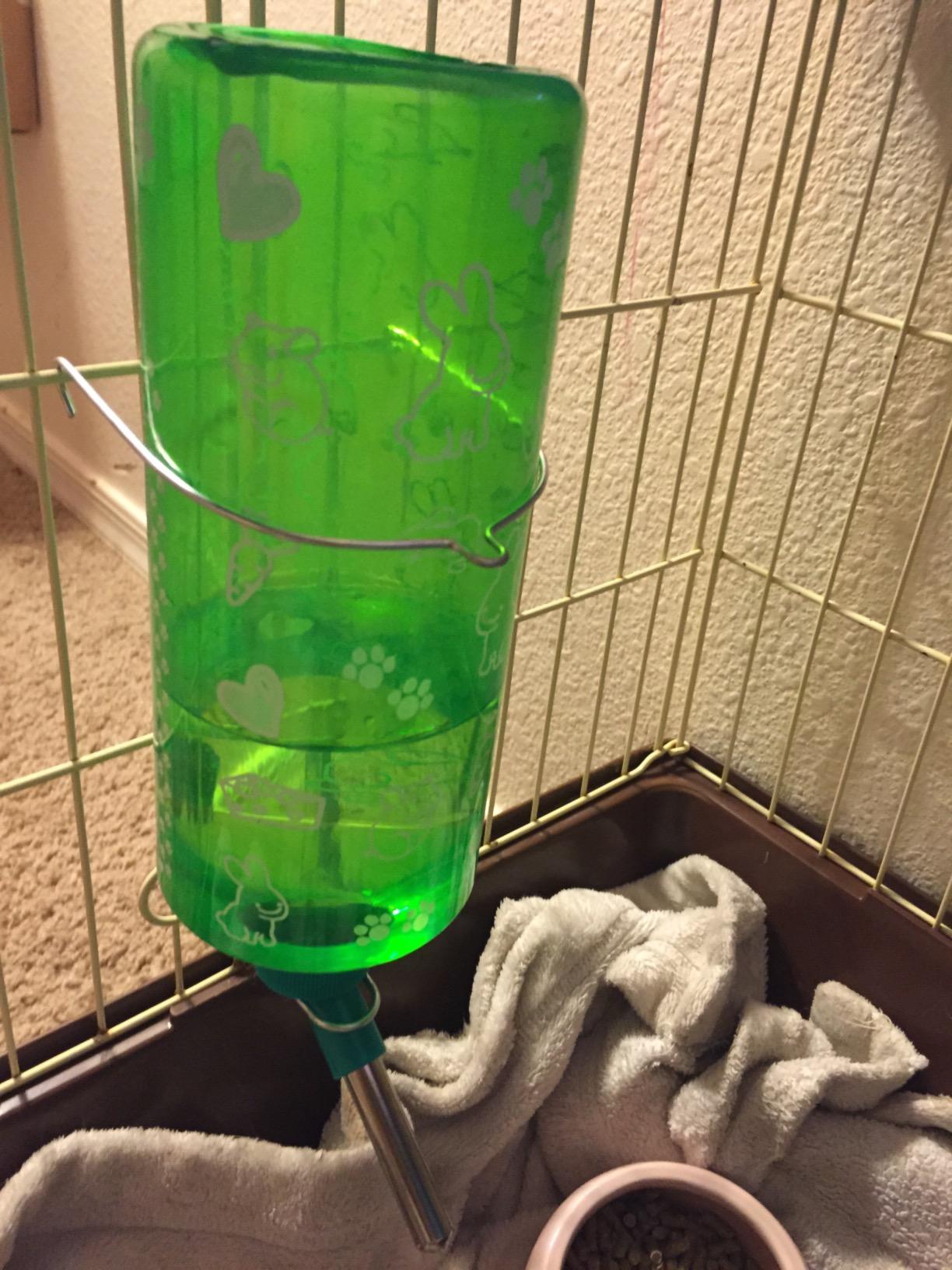 Lixit Critter Bright Water Bottles for Hamsters, Rabbits, Chinchillas, Ferrets, Guinea Pigs and Other Small Animals - Made in USA (Blue, 32 Ounce) customer photo 1