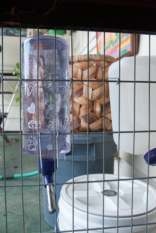 Lixit Critter Bright Water Bottles for Hamsters, Rabbits, Chinchillas, Ferrets, Guinea Pigs and Other Small Animals - Made in USA (Blue, 32 Ounce) customer photo 2