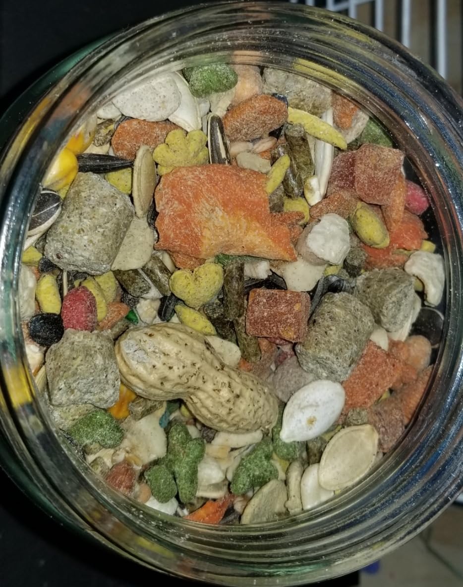 Kaytee Fiesta Mouse & Rat Food, Nutritious Blend, 4.5 Pounds | More mealtime fun. Mouse food blend. Fruits, veggies, rat enrichment customer photo 2