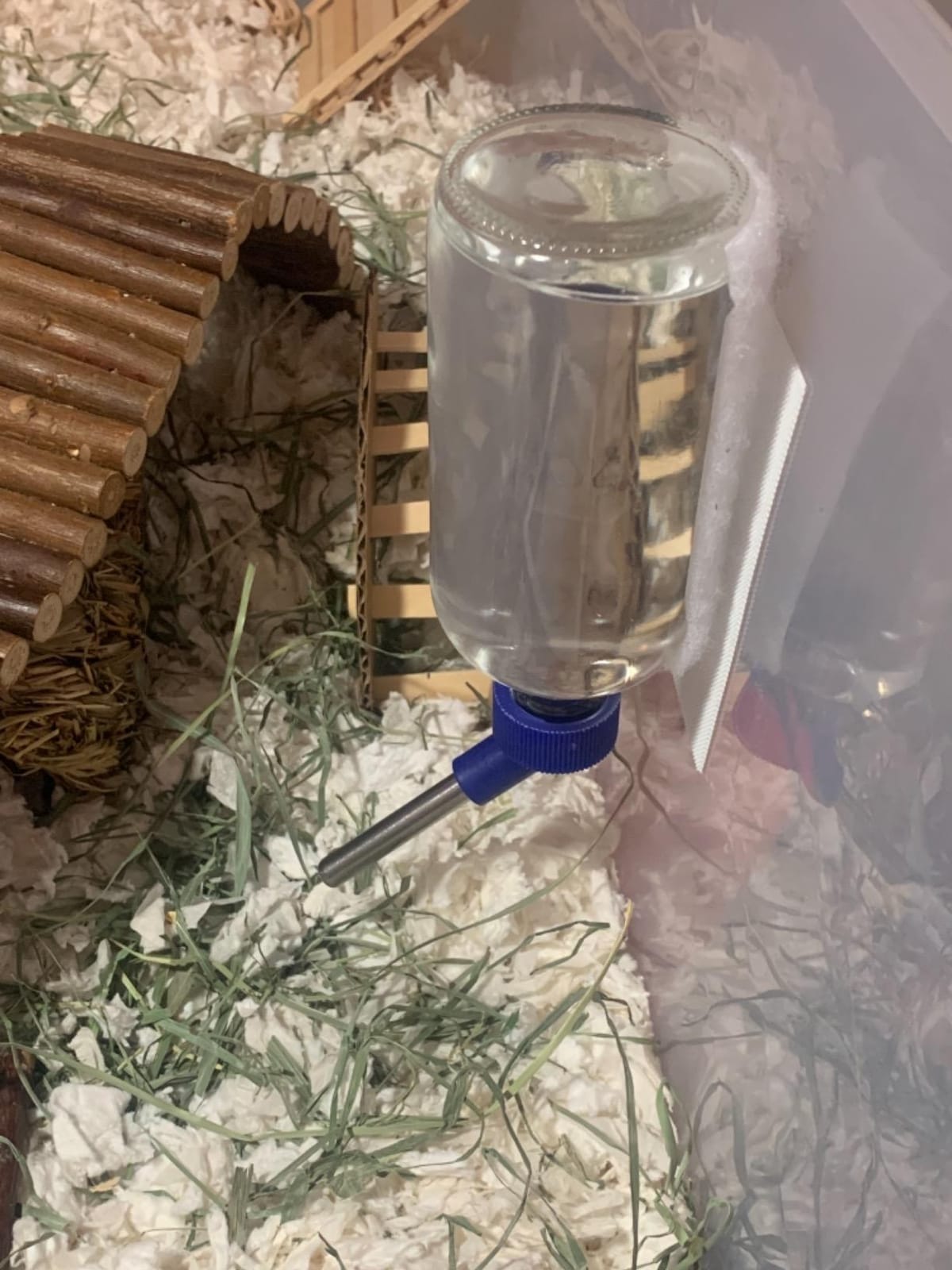 Lixit Glass Water Bottles for Small Animals and Birds (16oz), Clear (COMINHKR016337) customer photo 1