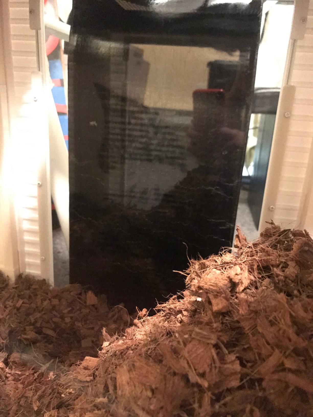 Zilla Heat Mat, Terrarium Heater for Reptiles, Snakes (Ball Pythons, Corn Snakes), Leopard Geckos, Tortoises, Amphibians and Arachnids, Small, Fits 10-20 Gallon, 8 Watt customer photo 1