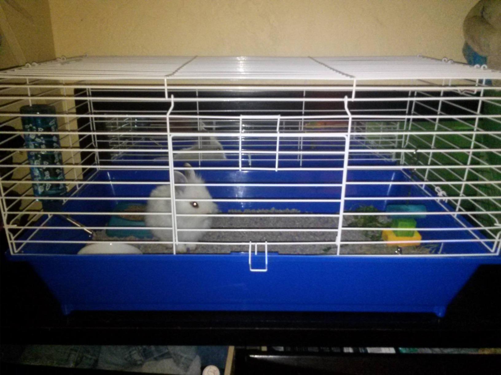Ware Manufacturing Home Sweet Home Sunseed Rabbit Cage Starter Kit customer photo 2