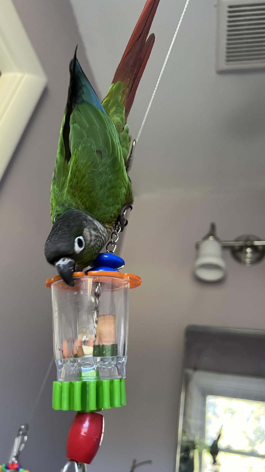 Super Bird Creations SB632 Foraging Bottom's Up Bird Toy with Clear Acrylic Cups, Medium/Large Bird Size, 18