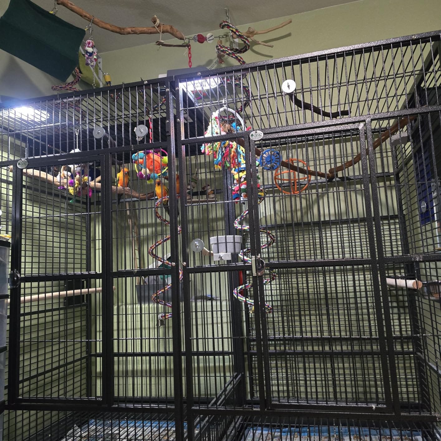 A&E Cage Co 8040FL Double Macaw Cage with Divider, 80