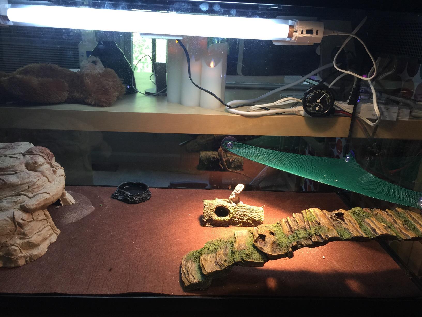 Zoo Med AquaSun Aquarium Controller Timer & Power Strip, White customer photo 2