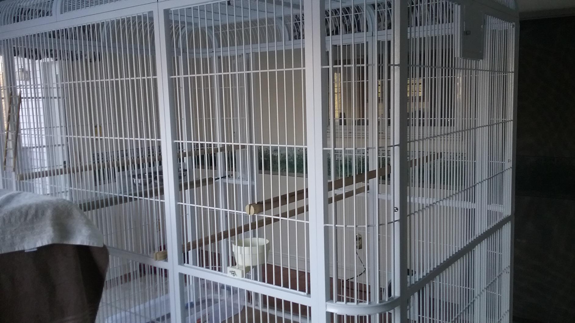 A&E Cage Co WI6262 Walk-in Bird Aviary for Parrots, 62