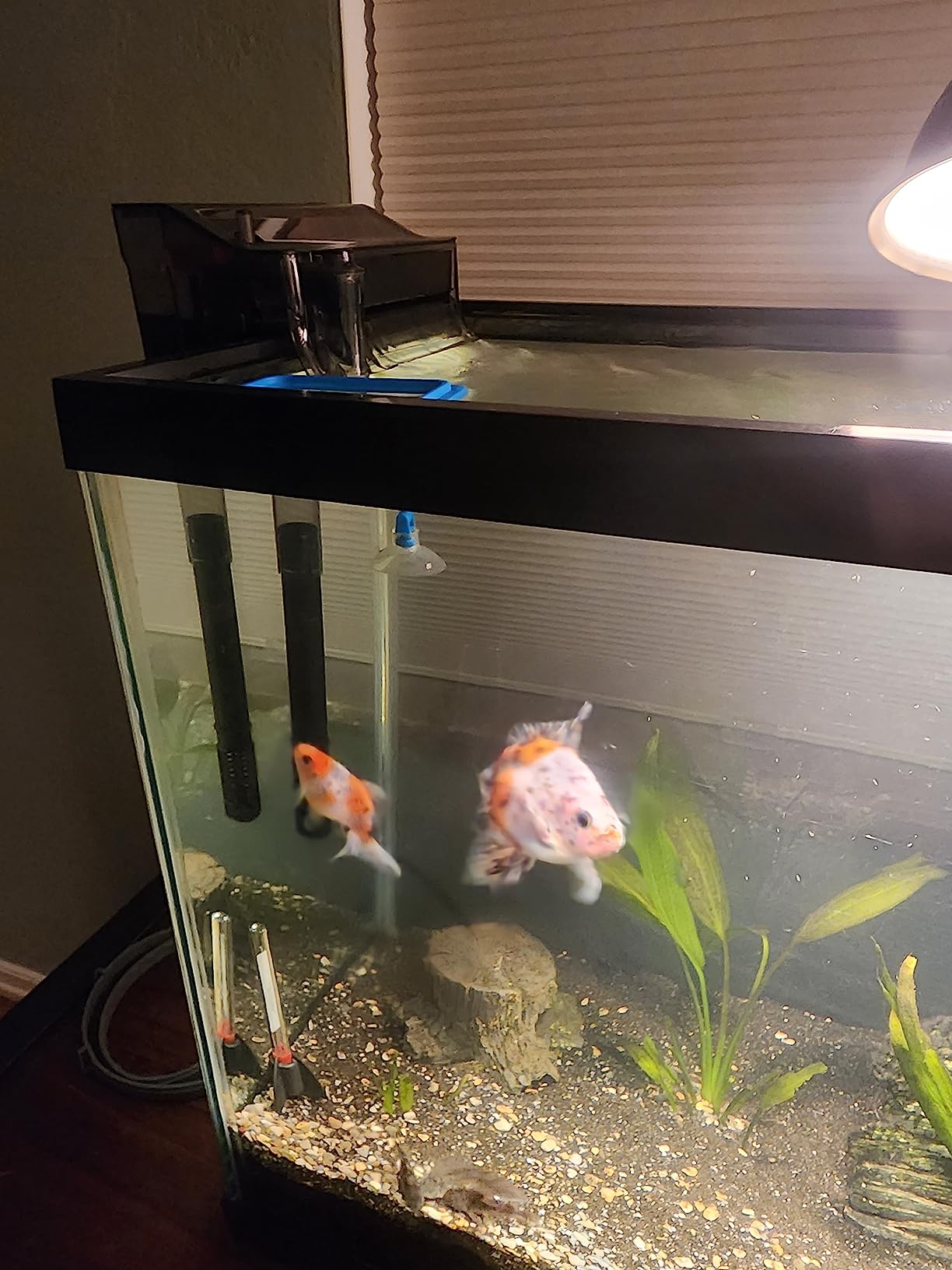 Fluval C2 Power Filter, Fish Tank Filter for Aquariums up to 30 Gal. customer photo 2