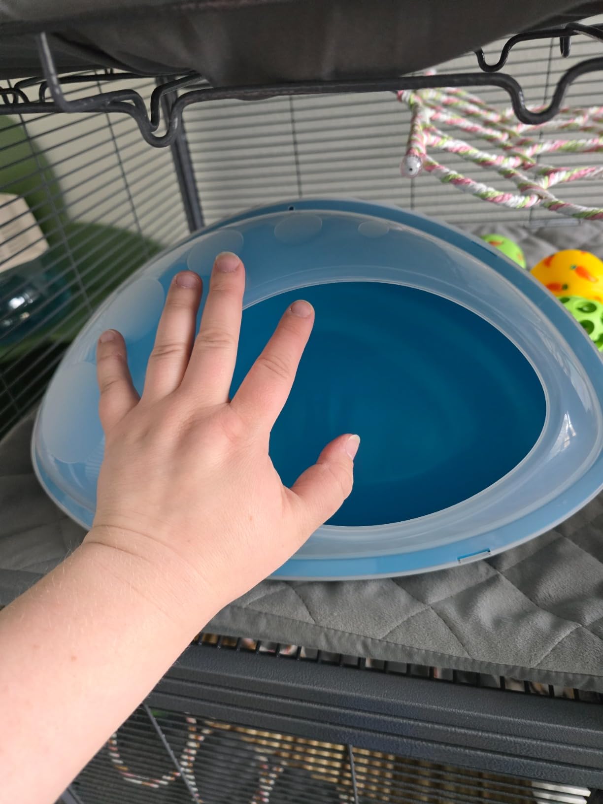 Lixit Chinchilla Dry Sand/Dust Wellness Bath (Purple) customer photo 2