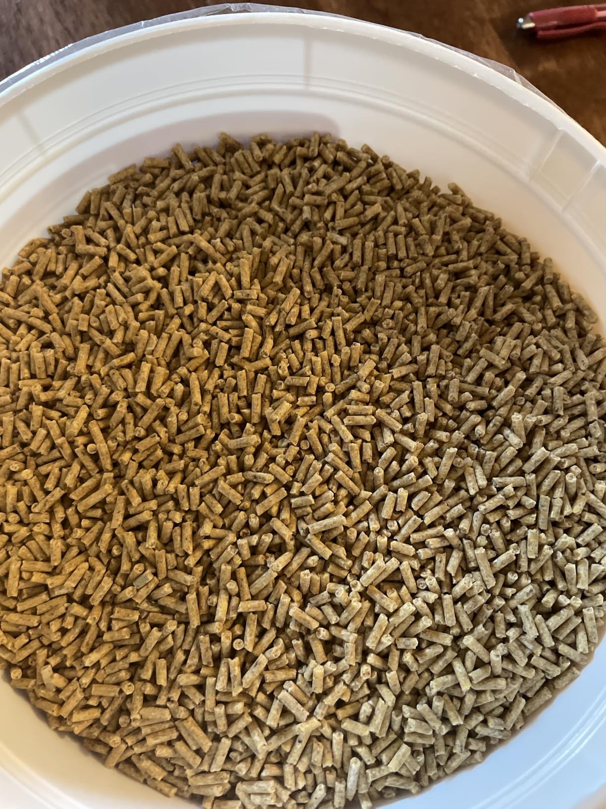 LAFEBER'S Premium Daily Diet Pellets Pet Bird Food, Made with Non-GMO and Human-Grade Ingredients, for Parakeets (Budgies), 5 lb customer photo 1