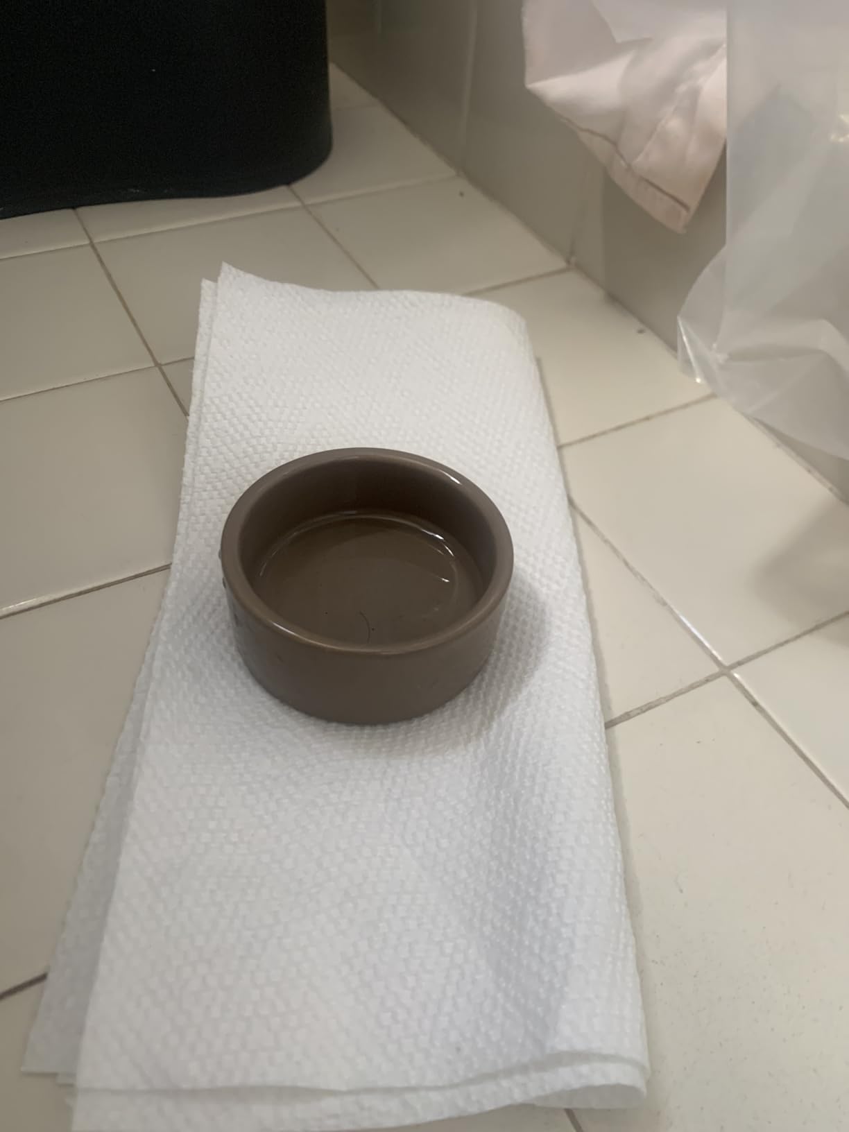Kaytee Stoneware Ceramic Pet Hamster Bowl, Brown, 3-Inch customer photo 1