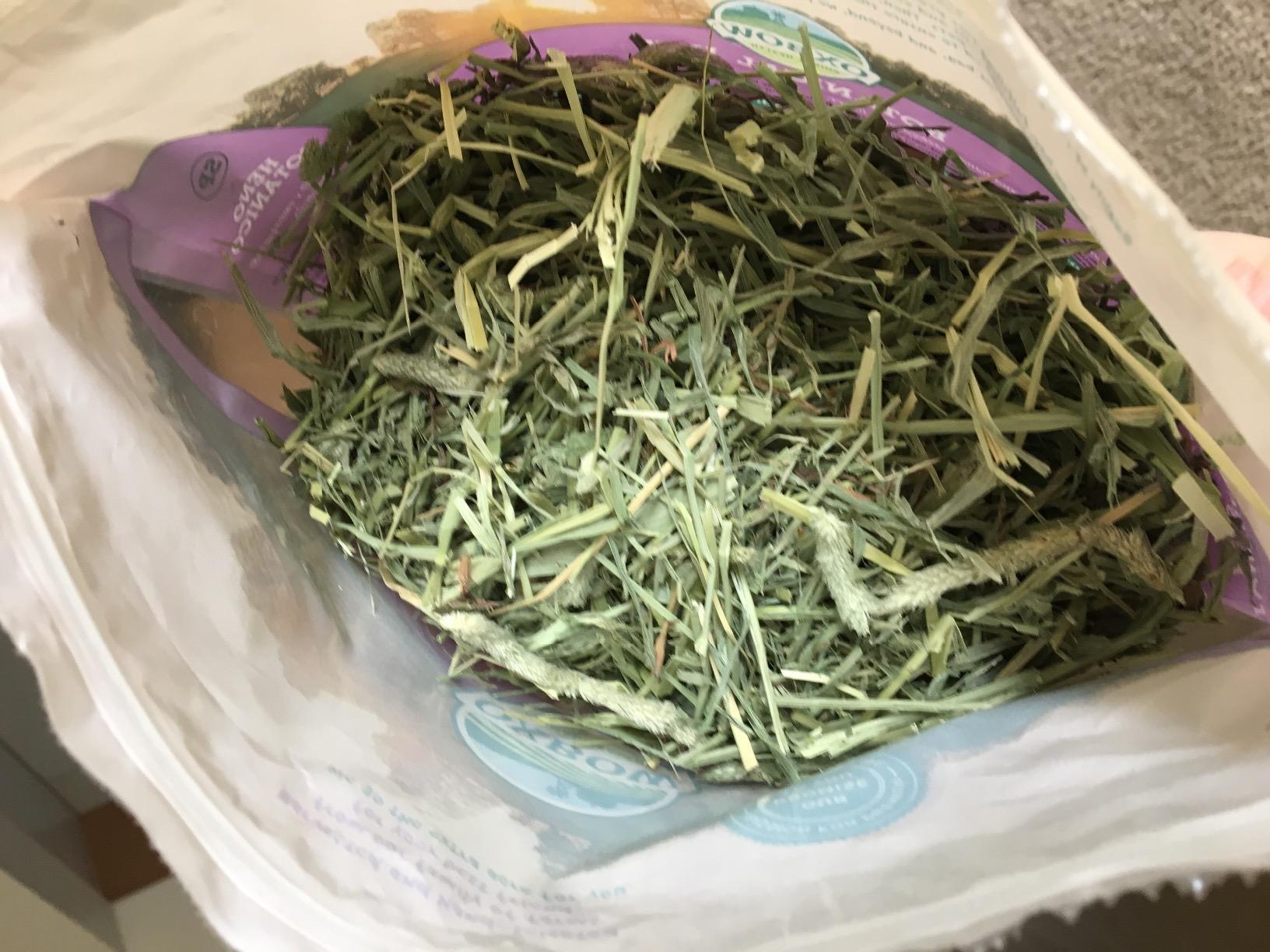 Oxbow Botanical Western Timothy Hay, Guinea Pig Hay, Small Pet Bunny Supplies, All Natural Grass for Guinea Pig, Bunny, Chinchilla & Hamster, 15 oz bag customer photo 2