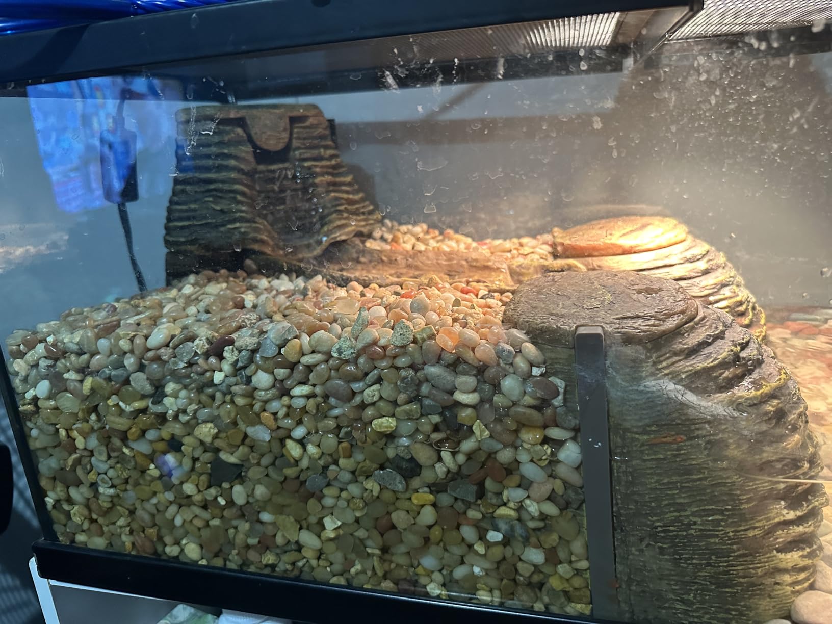 TetraFauna Viqaquarium, Terrarium & Aquarium Environment | Filter, Waterfall, Basking Areas & Ramps for 20-55 Gal Tanks customer photo 2