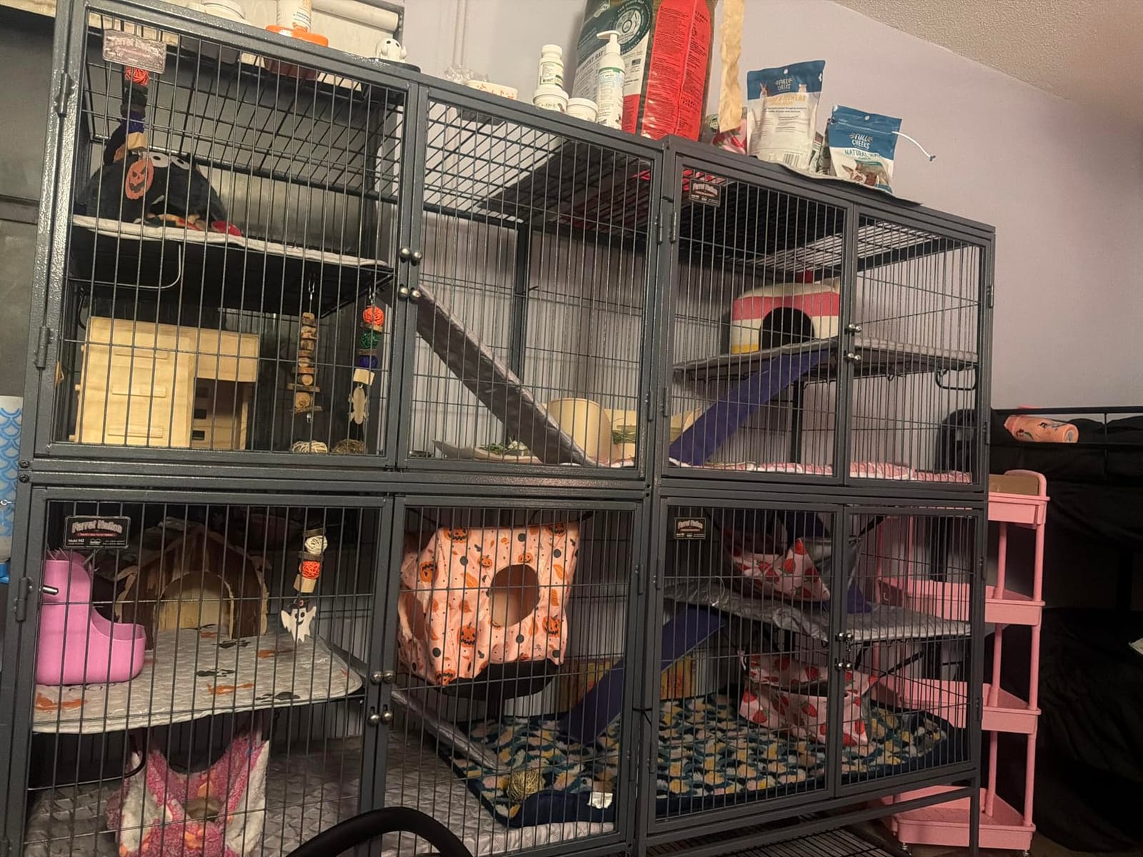 MidWest Homes for Pets Ferret Nation Double Unit Small Animal Cage, 4 Tiers, Includes Pans, Shelves, Ramps & Covers, For Ferrets & Small Animals customer photo 1