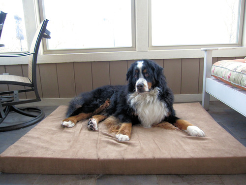 Dogbed4less Extra Large True Orthopedic Gel Memory Foam Dog Bed, Waterproof Liner and Durable Brown Cover, XL 47X29X4 Inch Fit 48