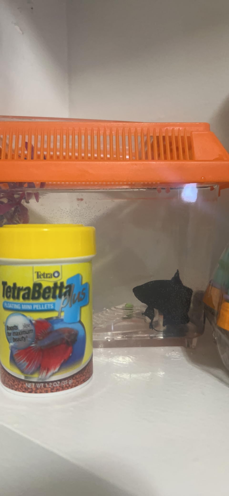 TetraBetta PLUS Floating Mini Pellets, Fish Food With Natural Color Enhancer, 1.2 ounces customer photo 1