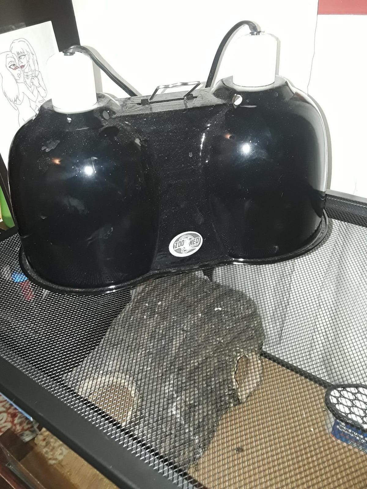 Zoo Med Combo Deep Dome Dual Lamp Fixture customer photo 2
