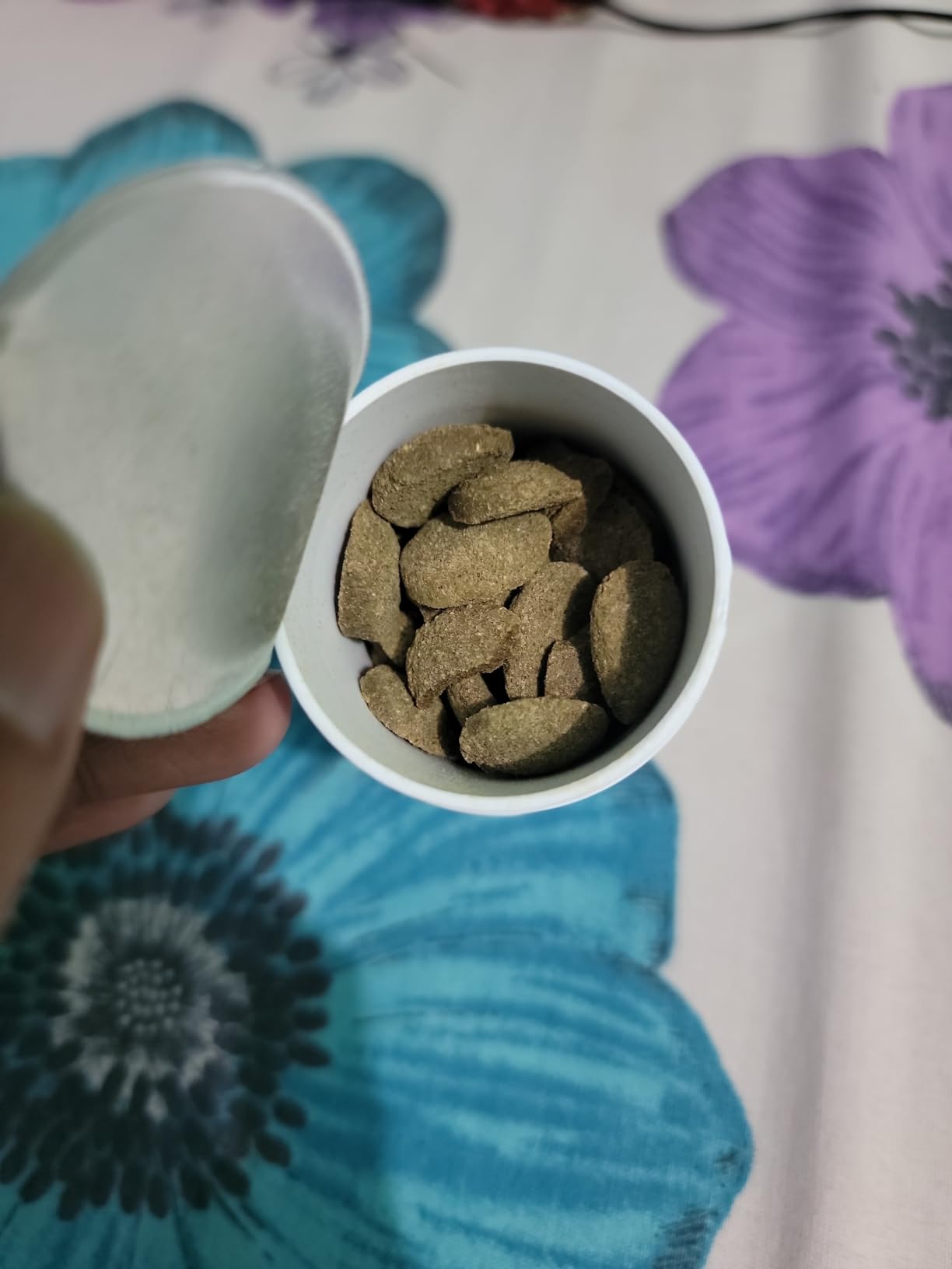 API ALGAE EATER WAFERS Algae Wafer Fish Food 1.3-Ounce Container customer photo 1