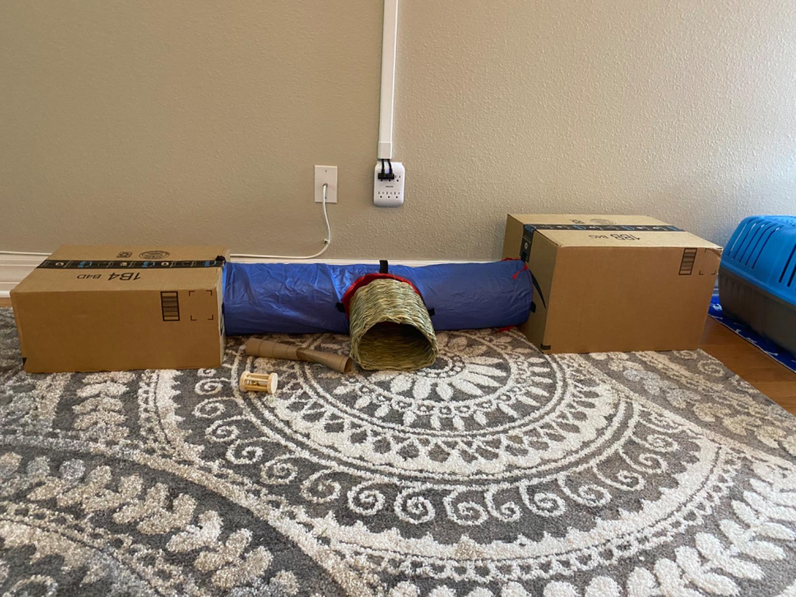 Living World Pet Tunnel, Small Animal Tunnel for Rabbits and Guinea Pigs customer photo 2
