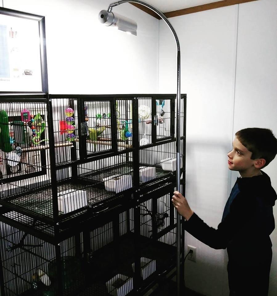ZML FXTR AVIAN SUN DLX FLOOR (Zoo Med Aviansun Deluxe Floor Lamp) customer photo 2