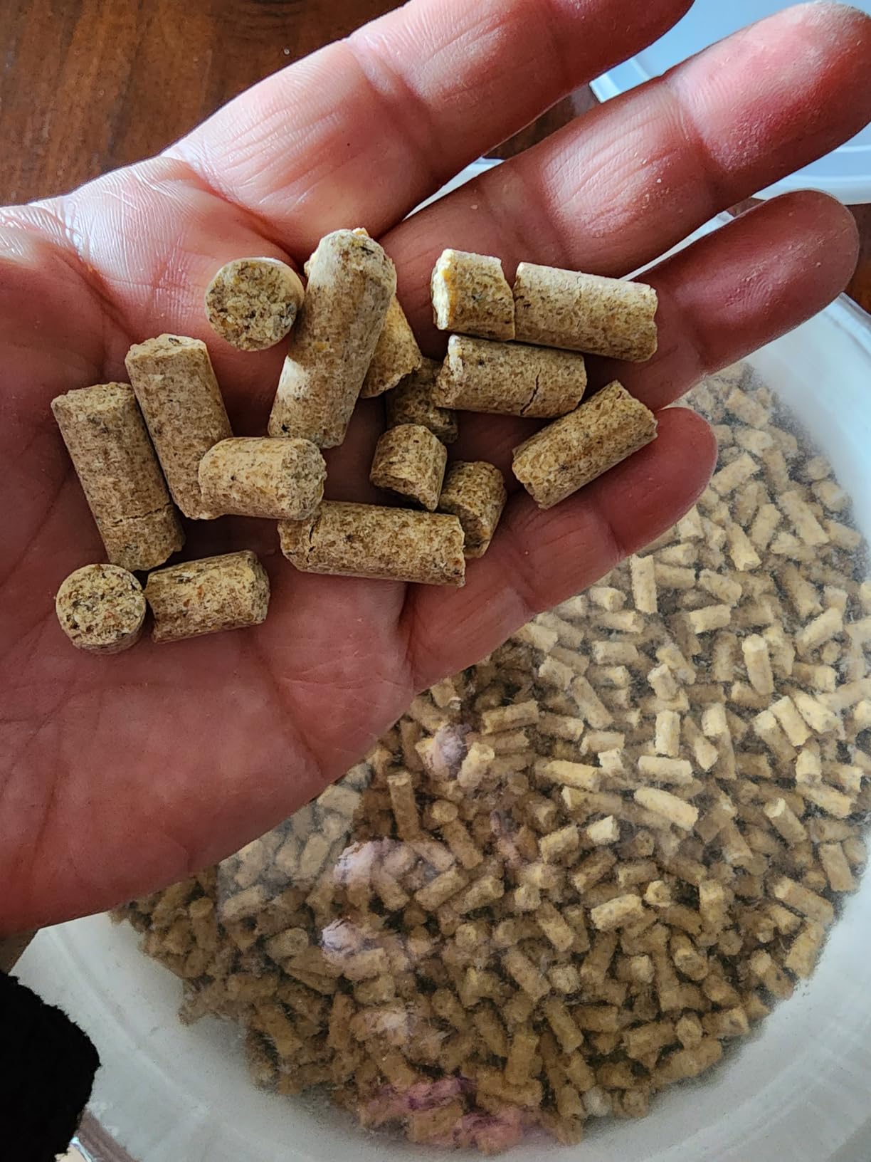 LAFEBER'S Premium Daily Diet Pellets, for Parrots, 5 lb customer photo 2