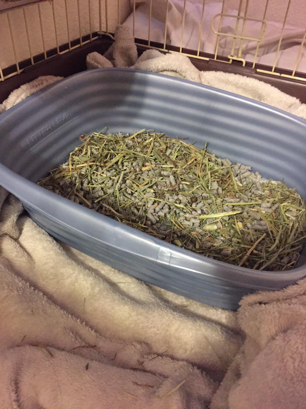 Fresh News Recycled Paper Small Animal Litter Bedding, 10 Liters, Packaging May Vary customer photo 1