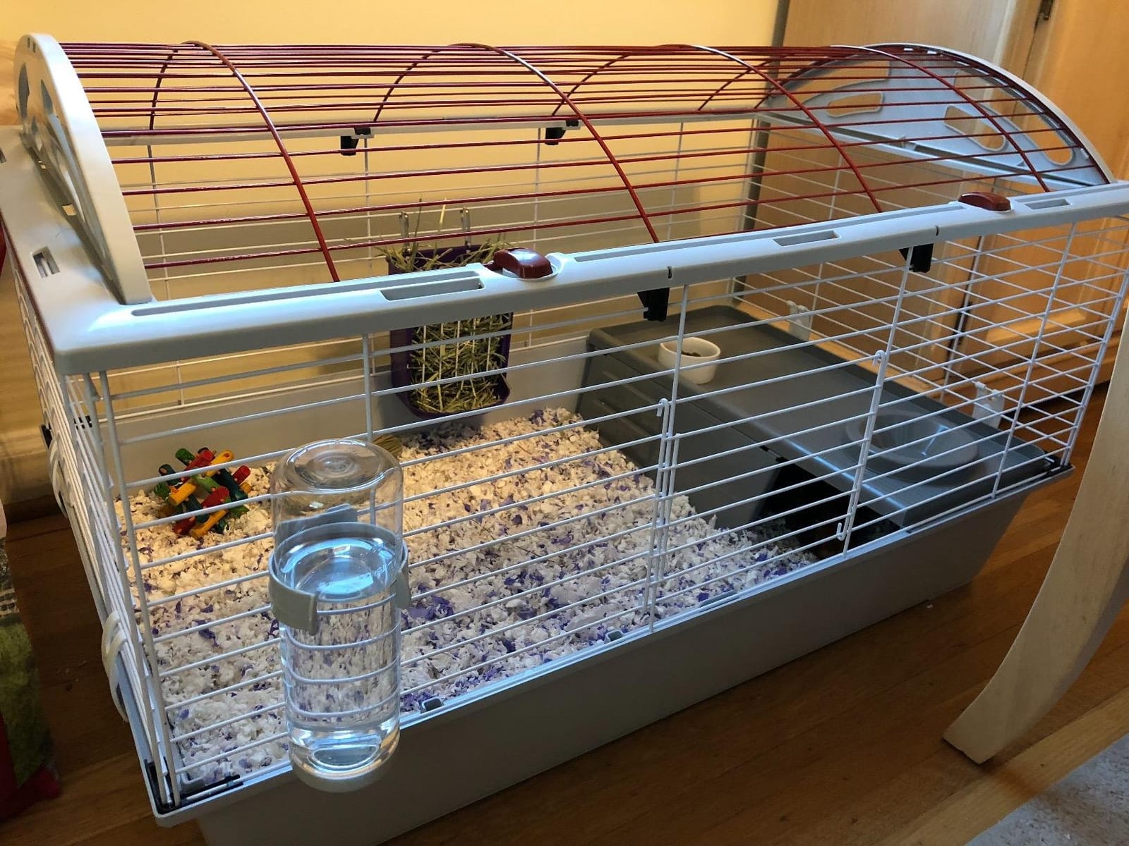 Living World - Deluxe Hybrid Habitat, X-Large | Rabbit, Guinea Pig, Chinchillas, and Small Animal Cage customer photo 1