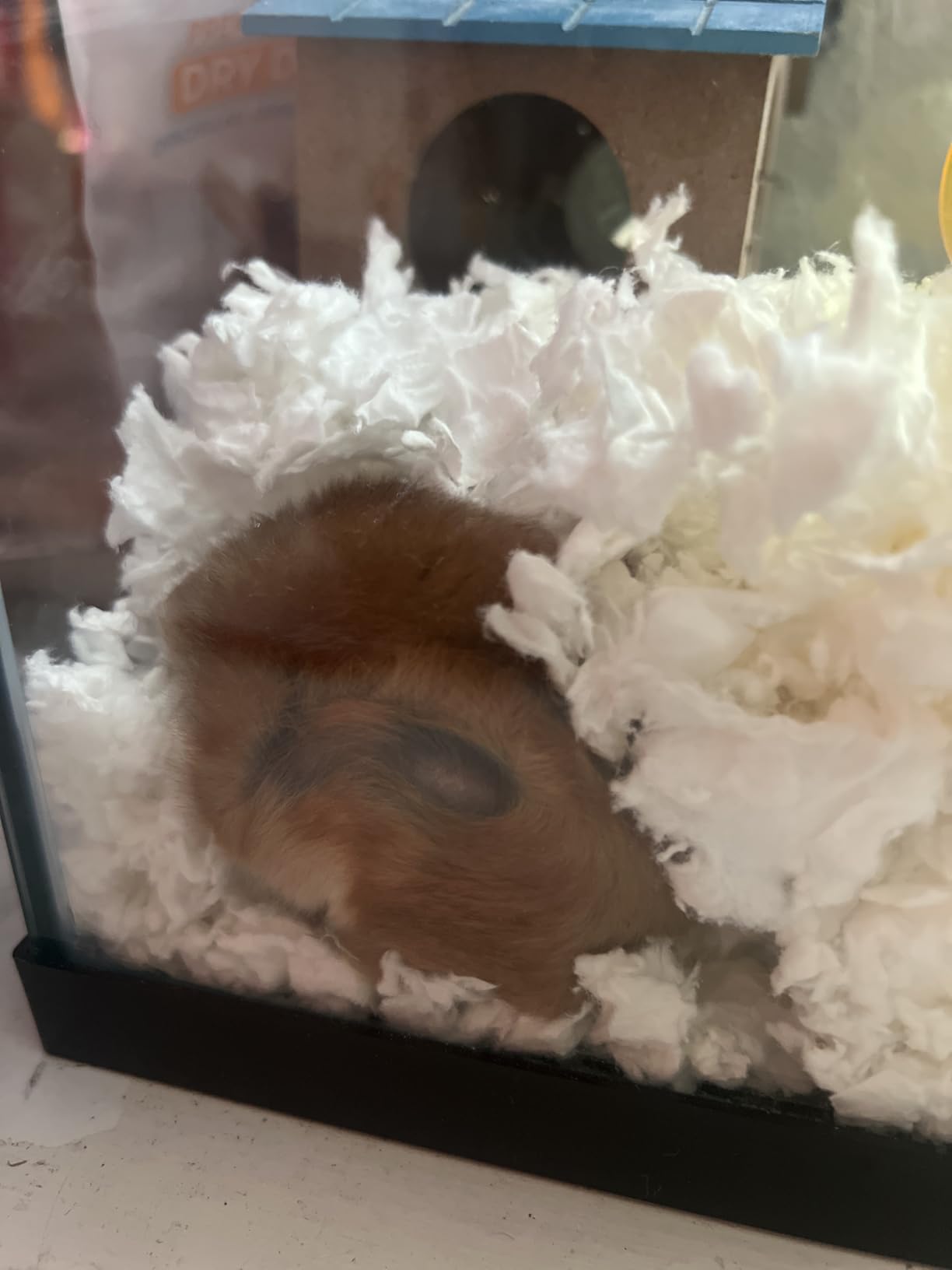 Kaytee Clean & Cozy Paper Bedding for Small Animals, White, 49.2 Liters | 99% Dust-Free customer photo 2