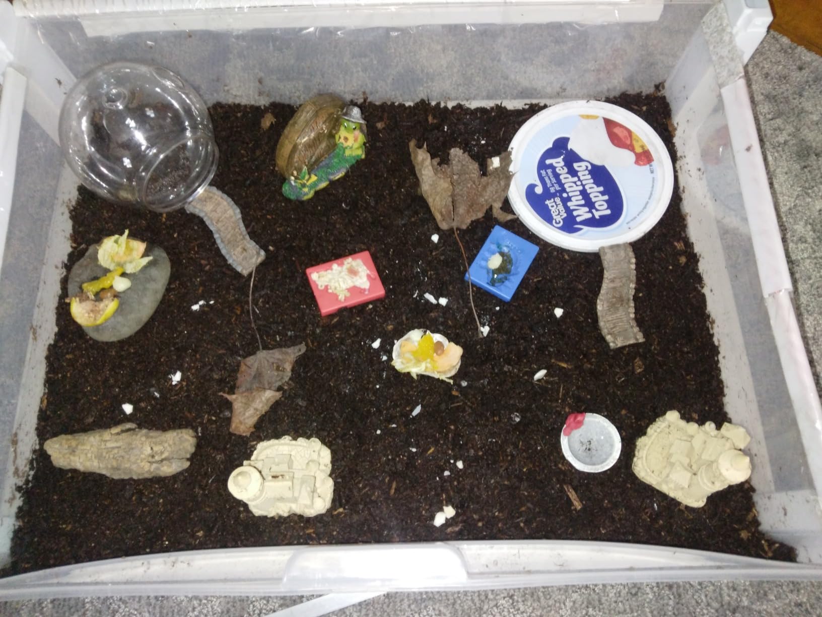 Zilla Pet Reptile Terrarium Substrate Bedding, Jungle Mix, for Frogs, Rainforest Geckos, Toads and Snakes, 8 Quart customer photo 2
