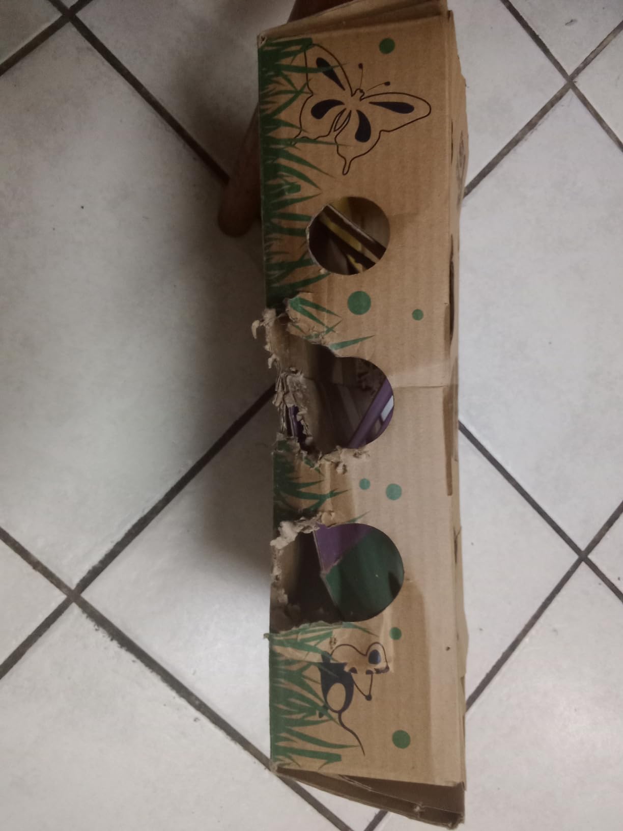 Cat Amazing Interactive Treat Maze and Puzzle CAT Toy customer photo 1