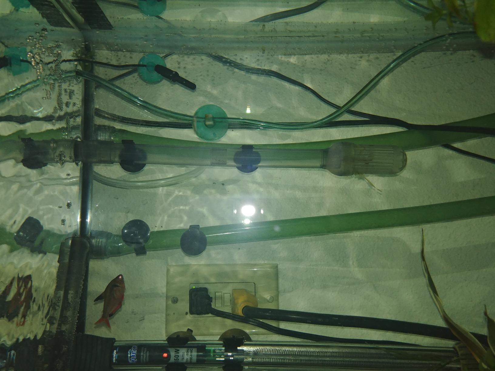 SunSun 3-Stage External Canister Filter for Aquariums & Ponds, 106 GPH Flow, Easy Setup & Maintenance, HW-603B customer photo 1