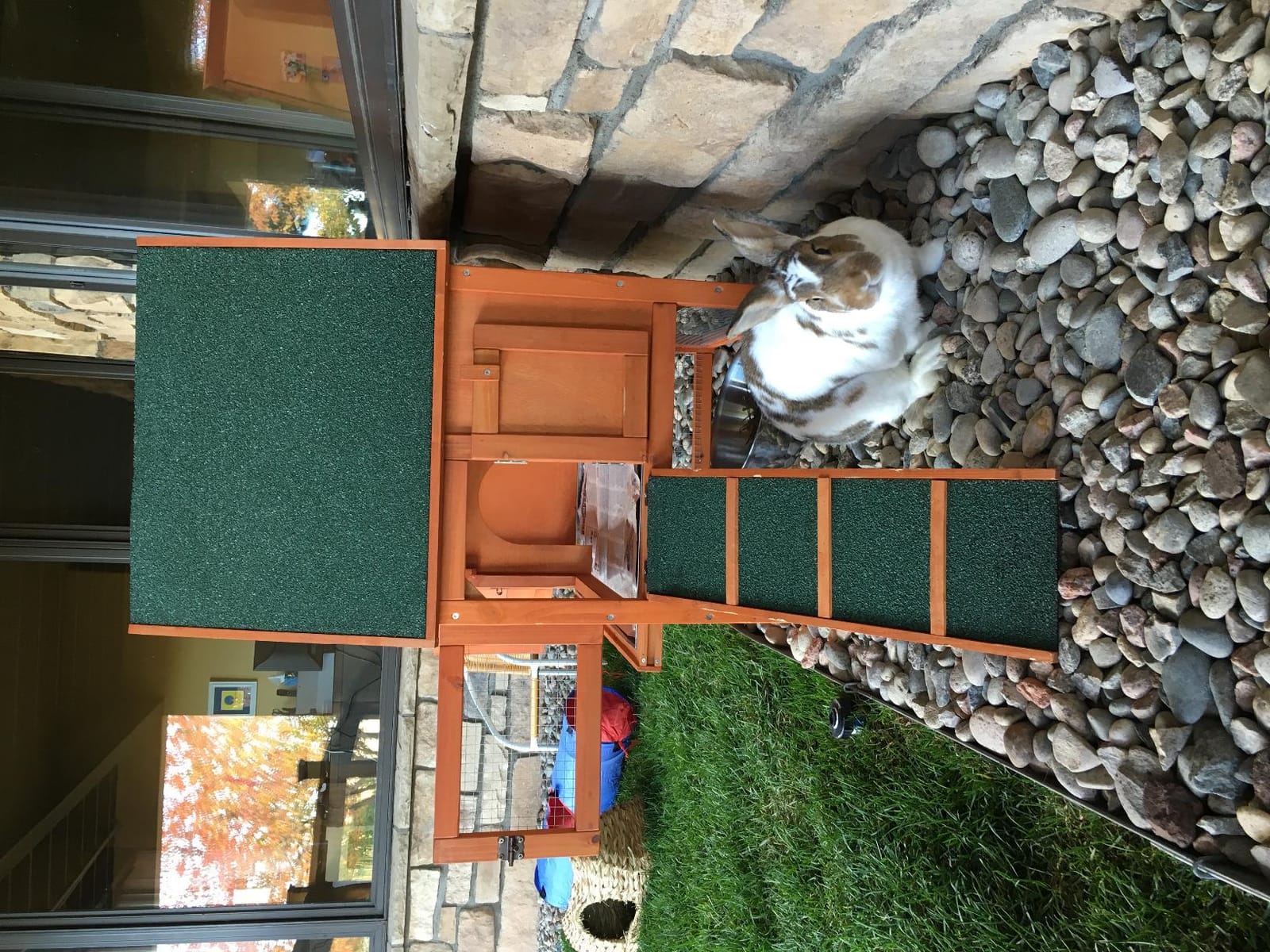TRIXIE natura Outdoor Rabbit Hutch with Run - Small Elevated Rabbit Cage with Non-Slip Ramp - Small Animal House with Large Playpen, Hinged Roof & Pull-Out Tray - in Natural customer photo 1