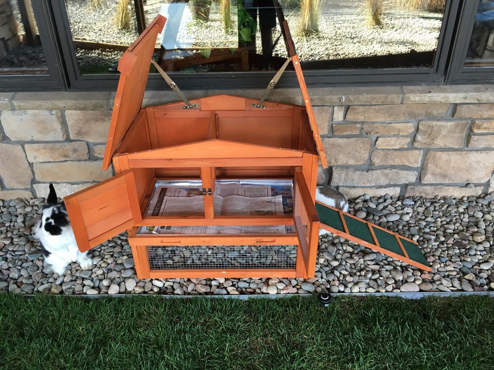 TRIXIE natura Outdoor Rabbit Hutch with Run - Small Elevated Rabbit Cage with Non-Slip Ramp - Small Animal House with Large Playpen, Hinged Roof & Pull-Out Tray - in Natural customer photo 2