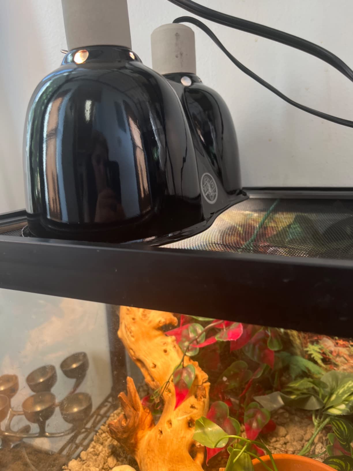 Zoo Med Desert UVB & Heat Lighting Dual Kit customer photo 2