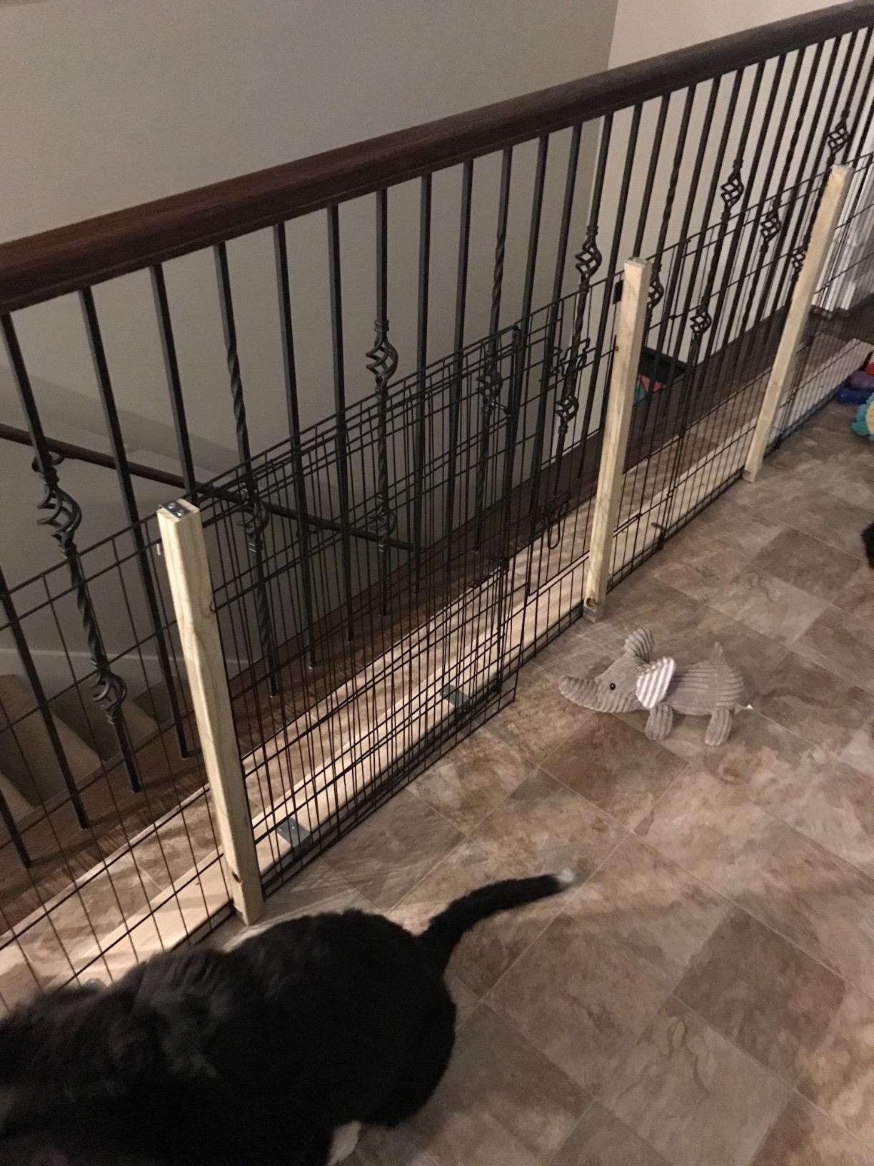 Dog Playpen - Foldable Metal Exercise Puppy Play Pen with 8 24x30in Panels - Indoor/Outdoor Pen with Door for Dogs, Cats or Small Animals by PETMAKER | Indoor/Outdoor Portable Pet Play Fence with 8 Durable Panels and Secure Door for Dogs, Puppies, Cats, and Small Animals customer photo 1