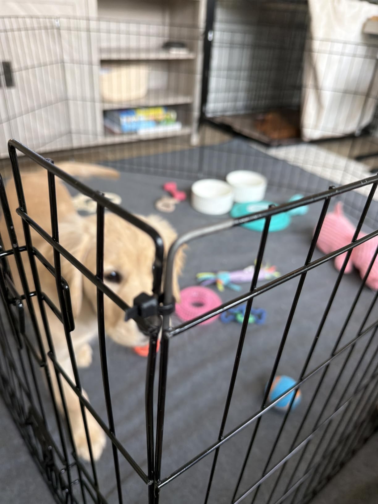 Dog Playpen - Foldable Metal Exercise Puppy Play Pen with 8 24x30in Panels - Indoor/Outdoor Pen with Door for Dogs, Cats or Small Animals by PETMAKER | Indoor/Outdoor Portable Pet Play Fence with 8 Durable Panels and Secure Door for Dogs, Puppies, Cats, and Small Animals customer photo 2