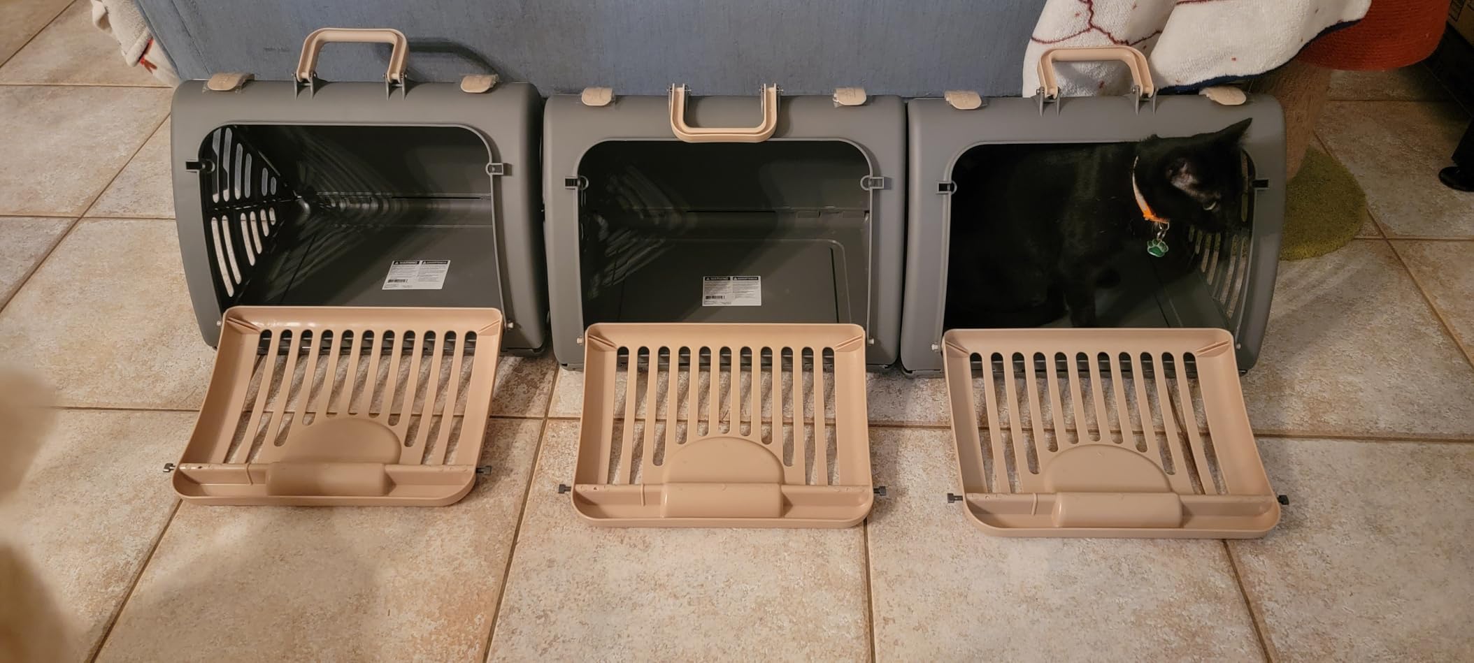 SportPet Designs Foldable Travel Cat Carrier - Front Door Plastic Collapsible Carrier, Gray and Tan, Medium (Pack of 1) customer photo 2