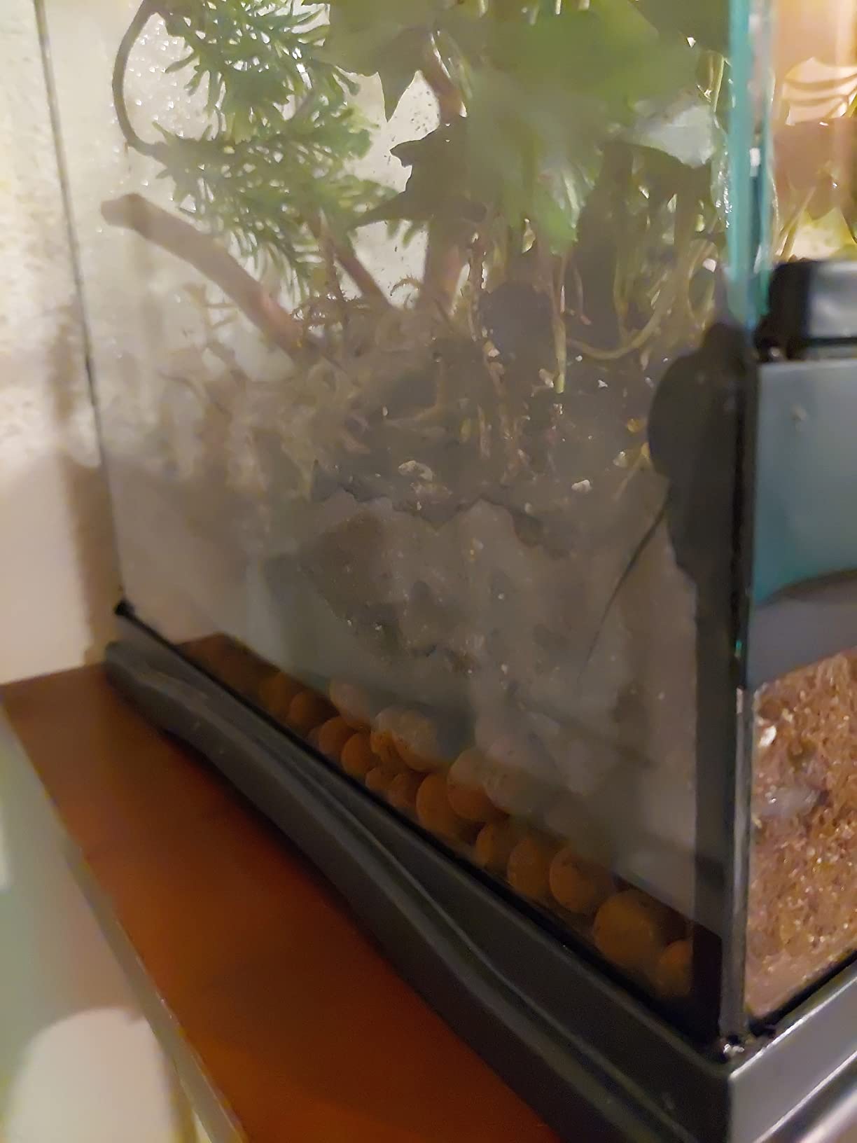 Josh's Frogs False Bottom - LECA Expanded Clay Pebbles (4 Quarts) customer photo 1