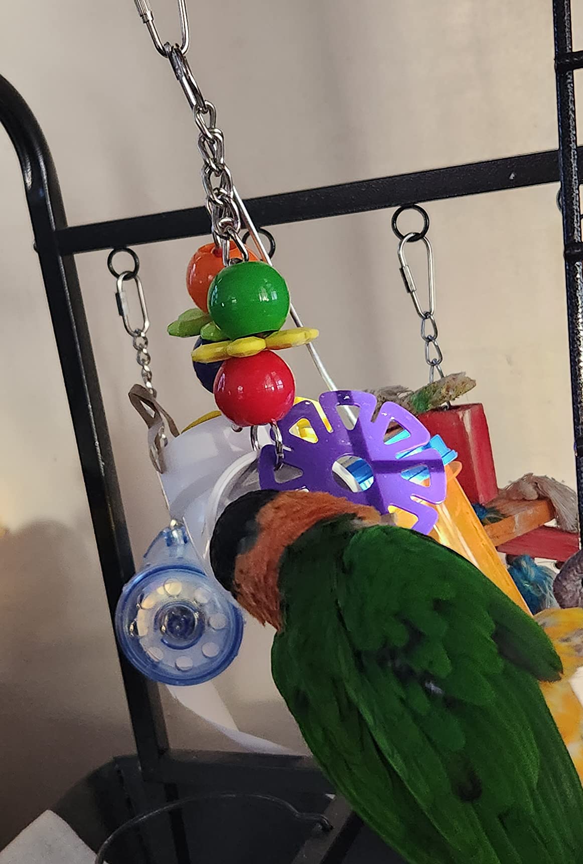 Super Bird Creations SB751 PVC Forager Bird Toy, Medium/Large Bird Size, 3