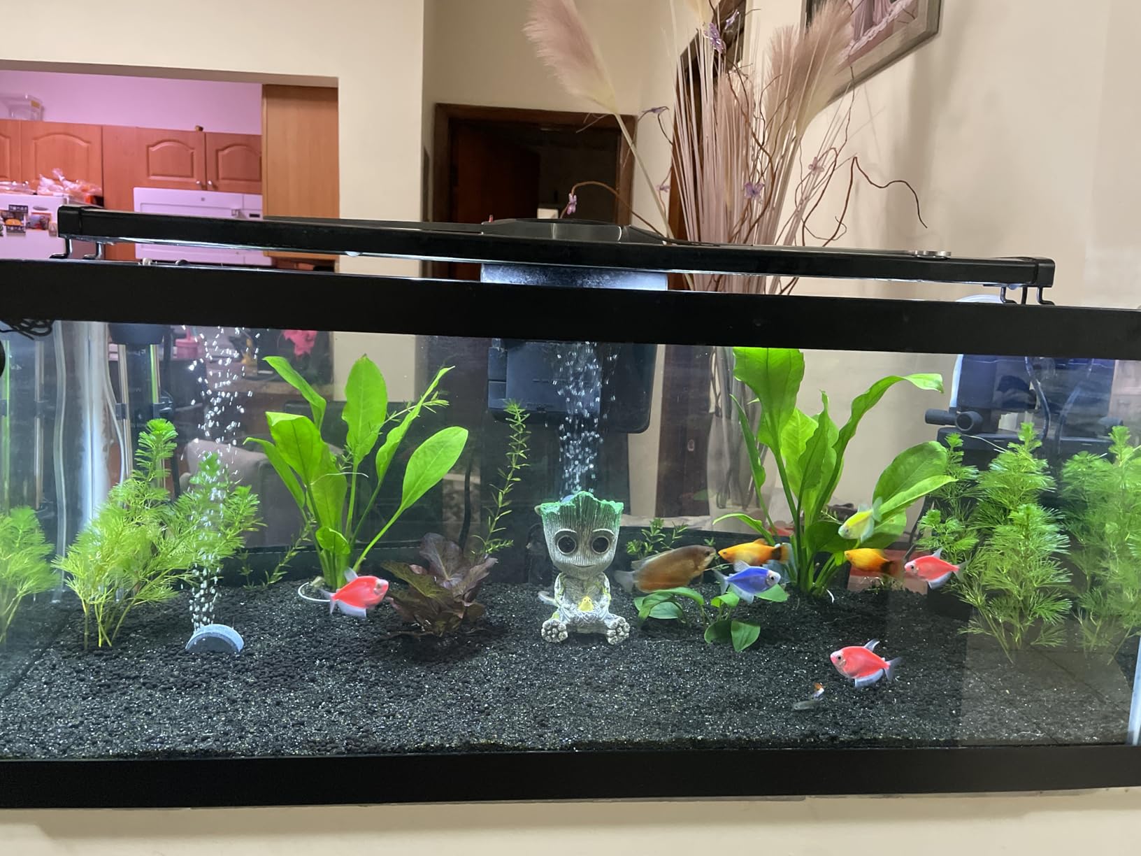 Fluval Plant and Shrimp Stratum for Freshwater Fish Tanks, 8.8 lbs. customer photo 1
