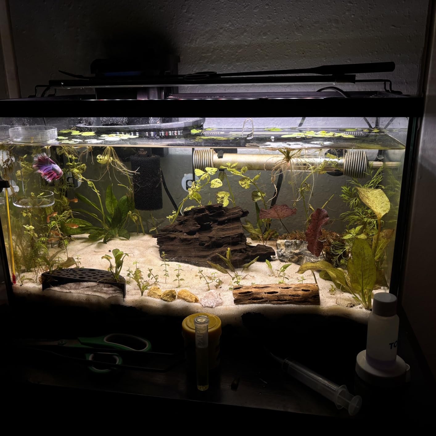 Fluval Plant and Shrimp Stratum for Freshwater Fish Tanks, 8.8 lbs. customer photo 2