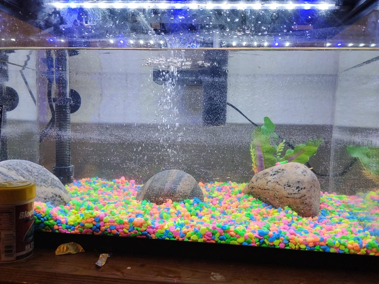 API Freshwater Master Test Kit - Aquarium Water Test Kit customer photo 1