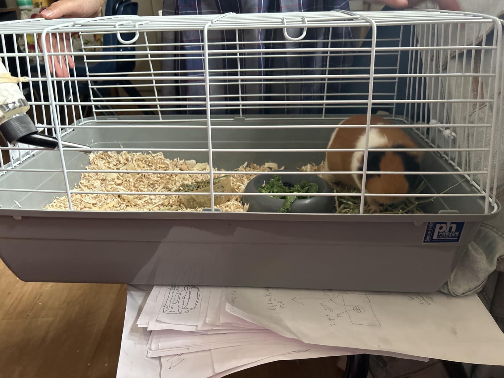 Prevue Pet Products Carina Animal Tubby - Small Animal Cage for Guinea Pigs, Dwarf Rabbits, Indoor and Outdoor Use, Lightweight, Travel Friendly Enclosure - Small, Gray customer photo 1