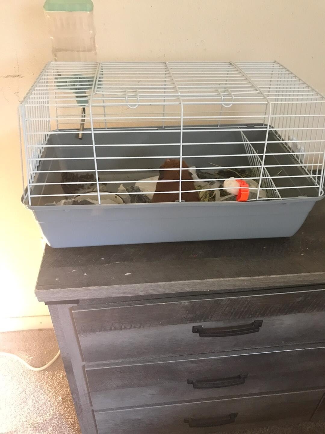 Prevue Pet Products Carina Animal Tubby - Small Animal Cage for Guinea Pigs, Dwarf Rabbits, Indoor and Outdoor Use, Lightweight, Travel Friendly Enclosure - Small, Gray customer photo 2